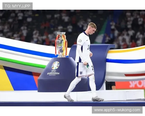 帕尔默大赛表现稳定性与上限究竟如何