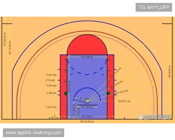 一次看懂篮球后场规则，带你分清8秒违例与过半场要点。